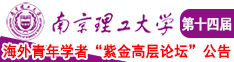 日韩啊哦，大鸡巴在线观看南京理工大学第十四届海外青年学者紫金论坛诚邀海内外英才！